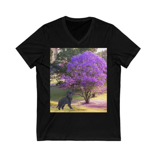 Unisex Jersey Short Sleeve V-Neck Tee *Custom for Elysha*